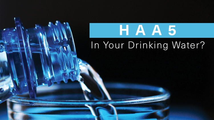 Everything You Need To Know About  HAA5 In Your Drinking Water